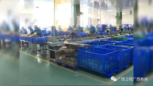 雙十一掀起年底消費(fèi)熱潮，食品銷售表現(xiàn)亮眼