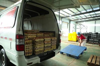 河南睢縣 培育“新農(nóng)人”，筑起“興農(nóng)路”食品銷售新篇章