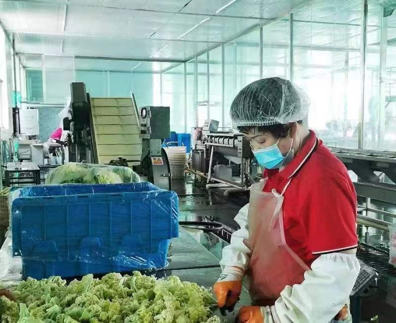 中國人壽財險推出預制菜專屬定制服務——以食品安全護航產業高質量發展